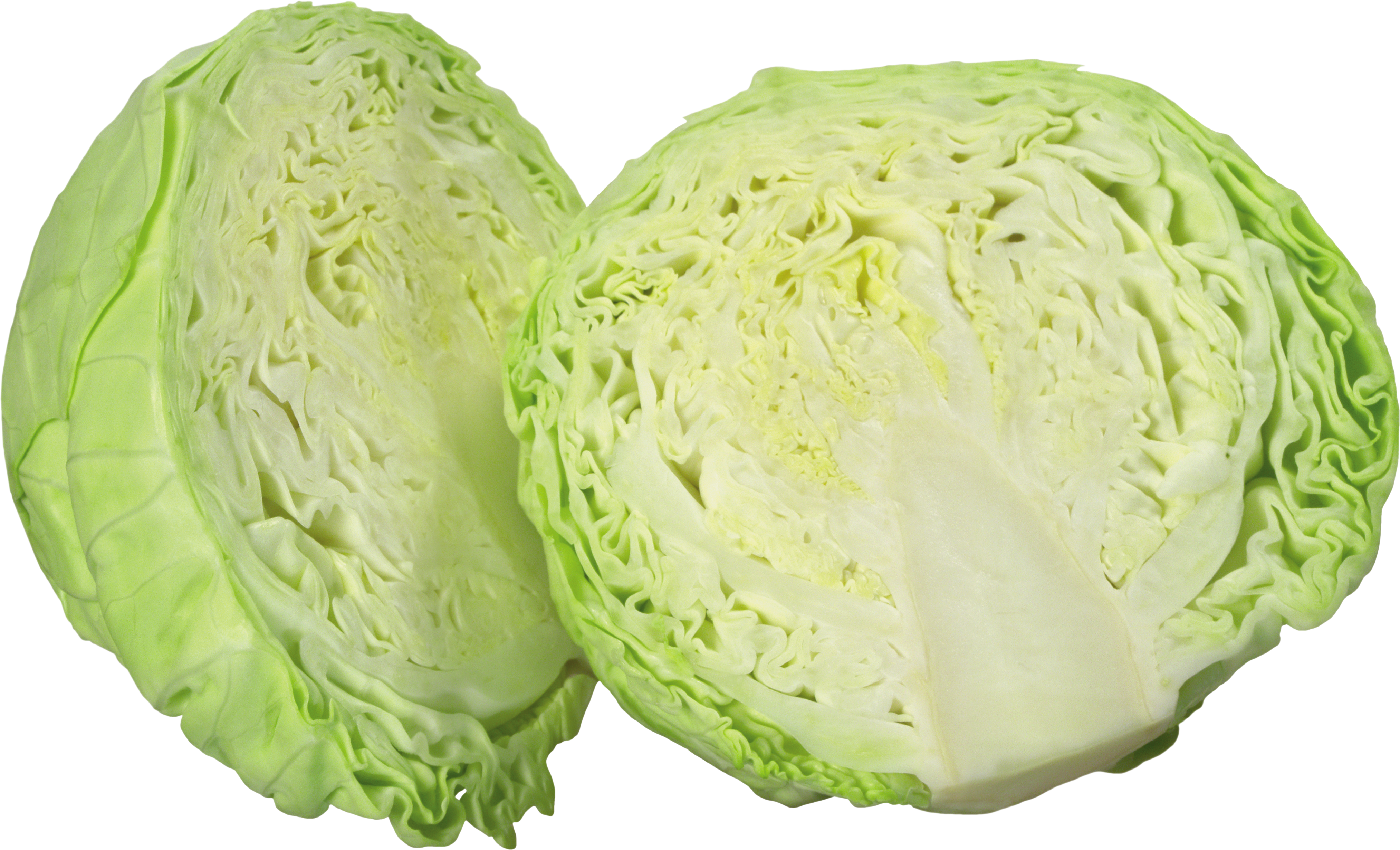 Cabbage-21