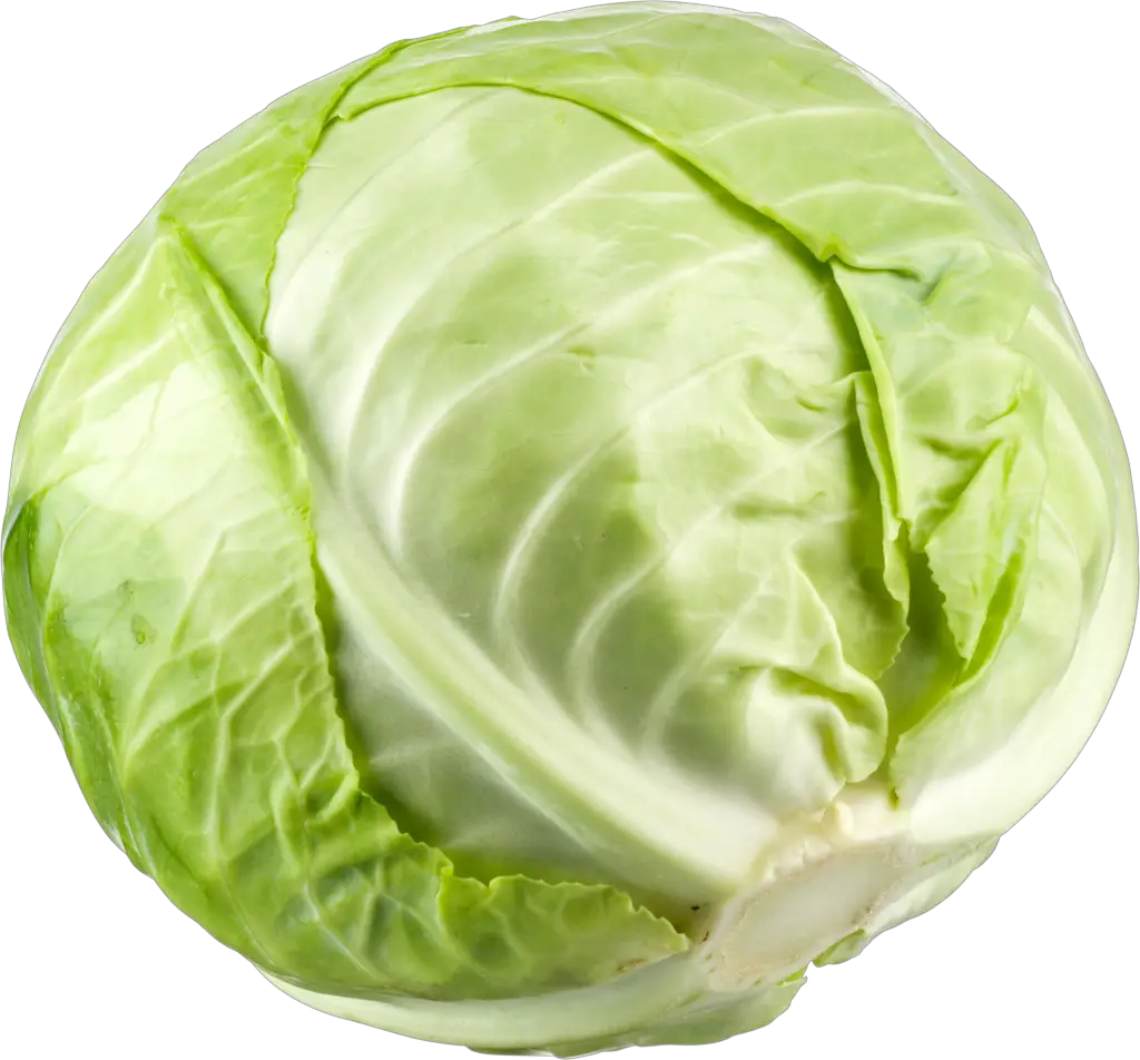 Cabbage Png