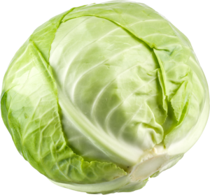 Cabbage-22