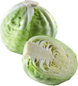 Cabbage-3