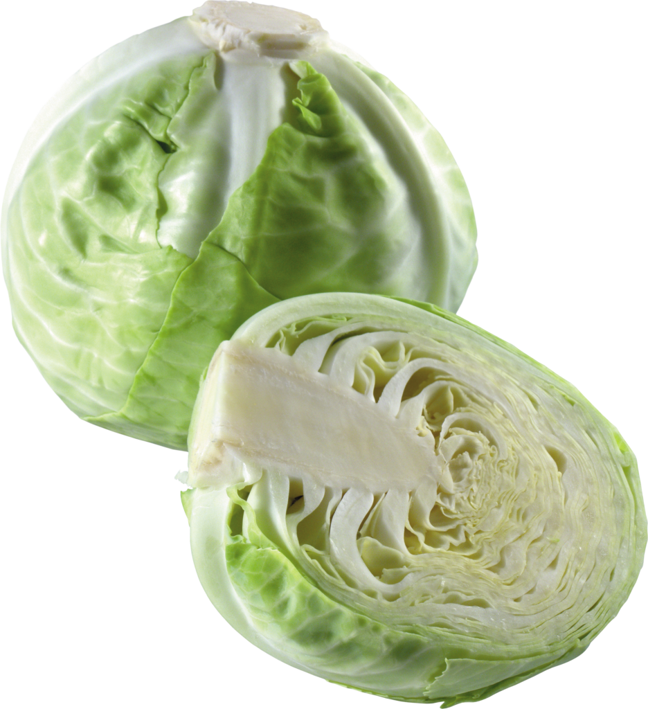 Cabbage Vegetable Png