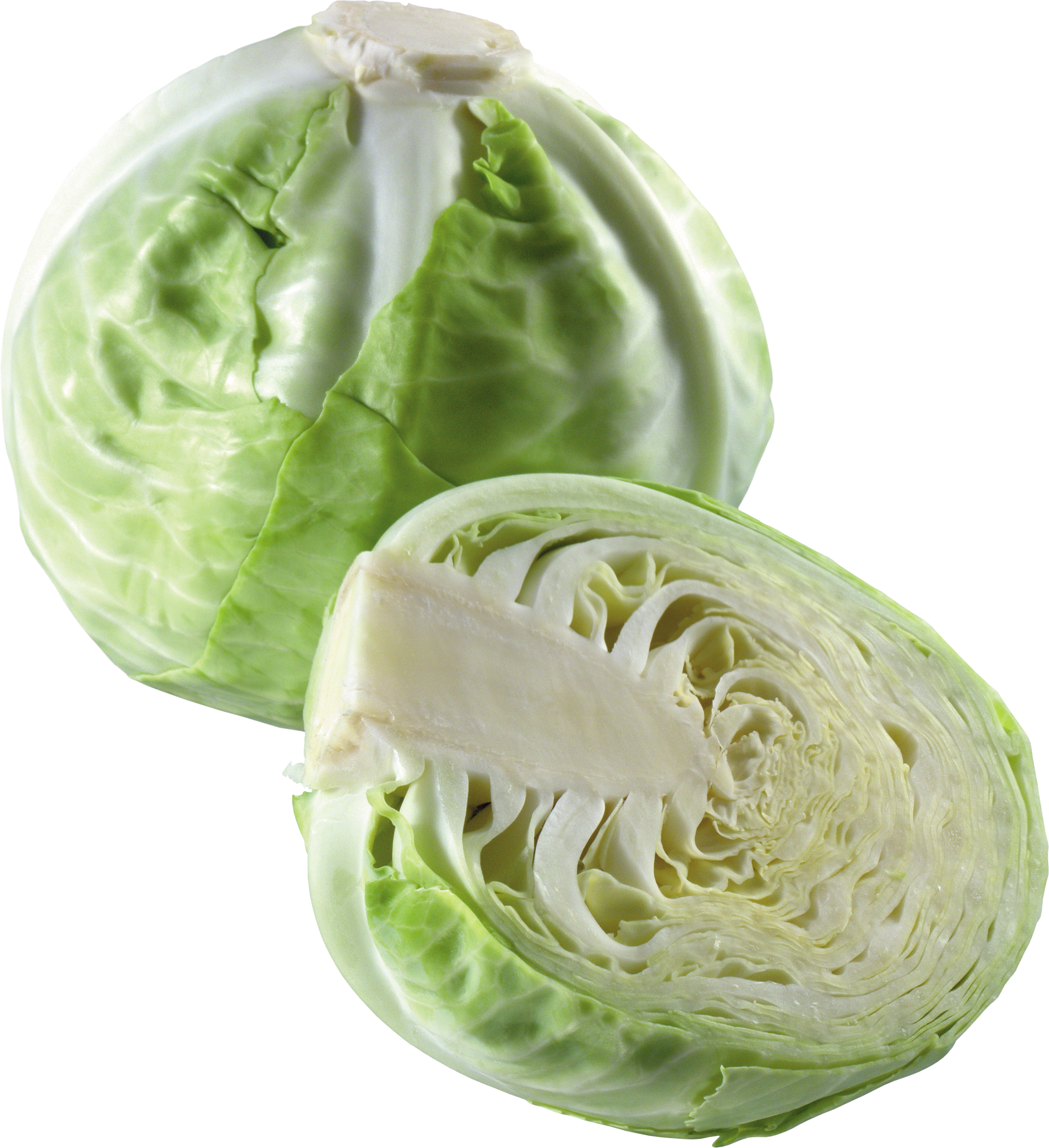 Cabbage-3