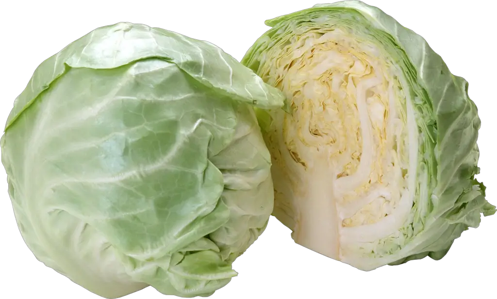 Cabbage Png Image