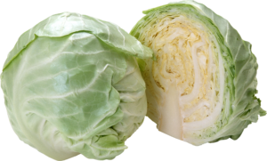 Cabbage-4