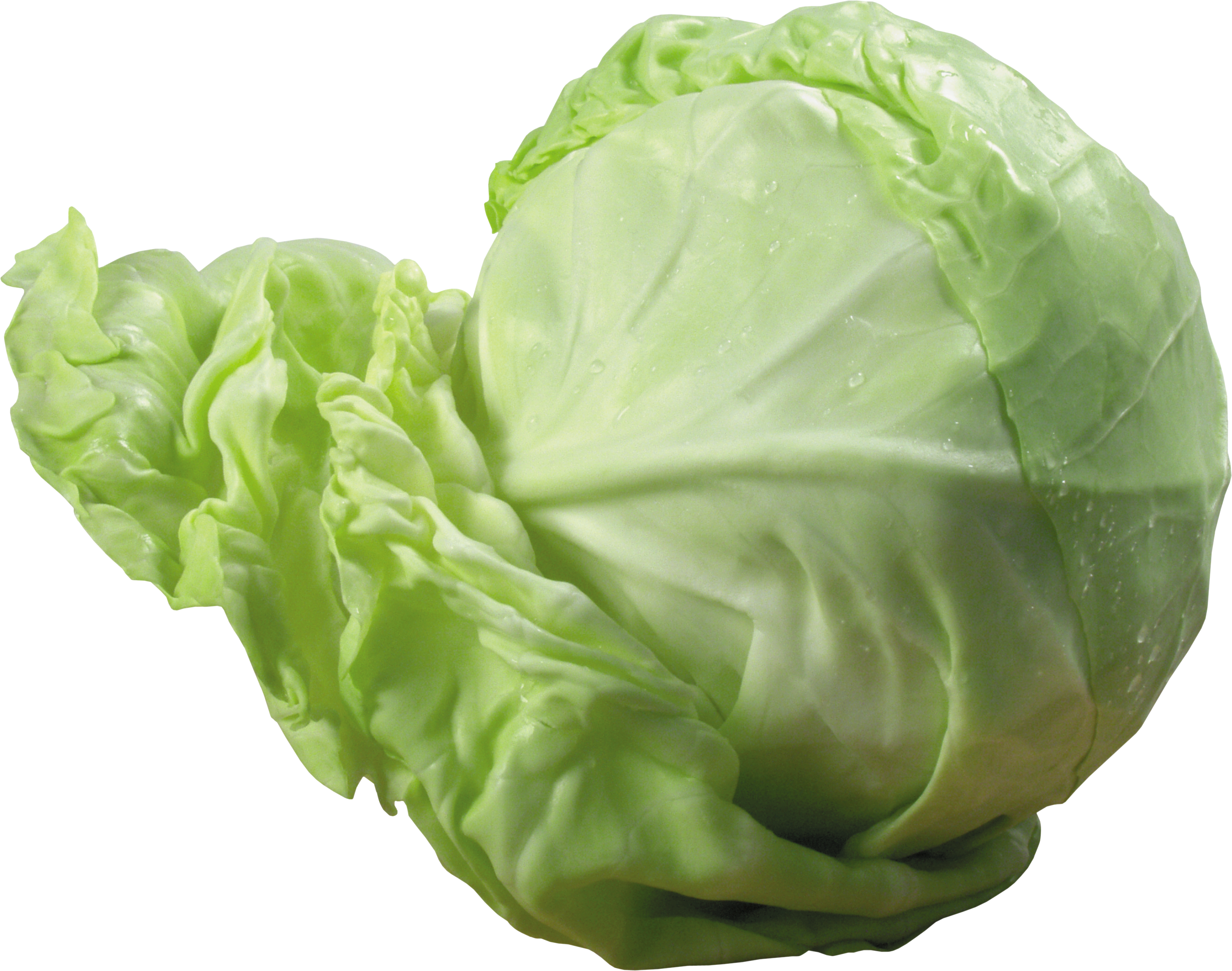 Cabbage-6
