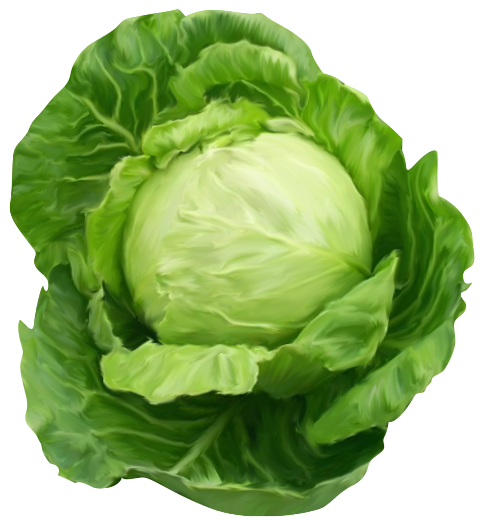 Fortnite Cabbage Png