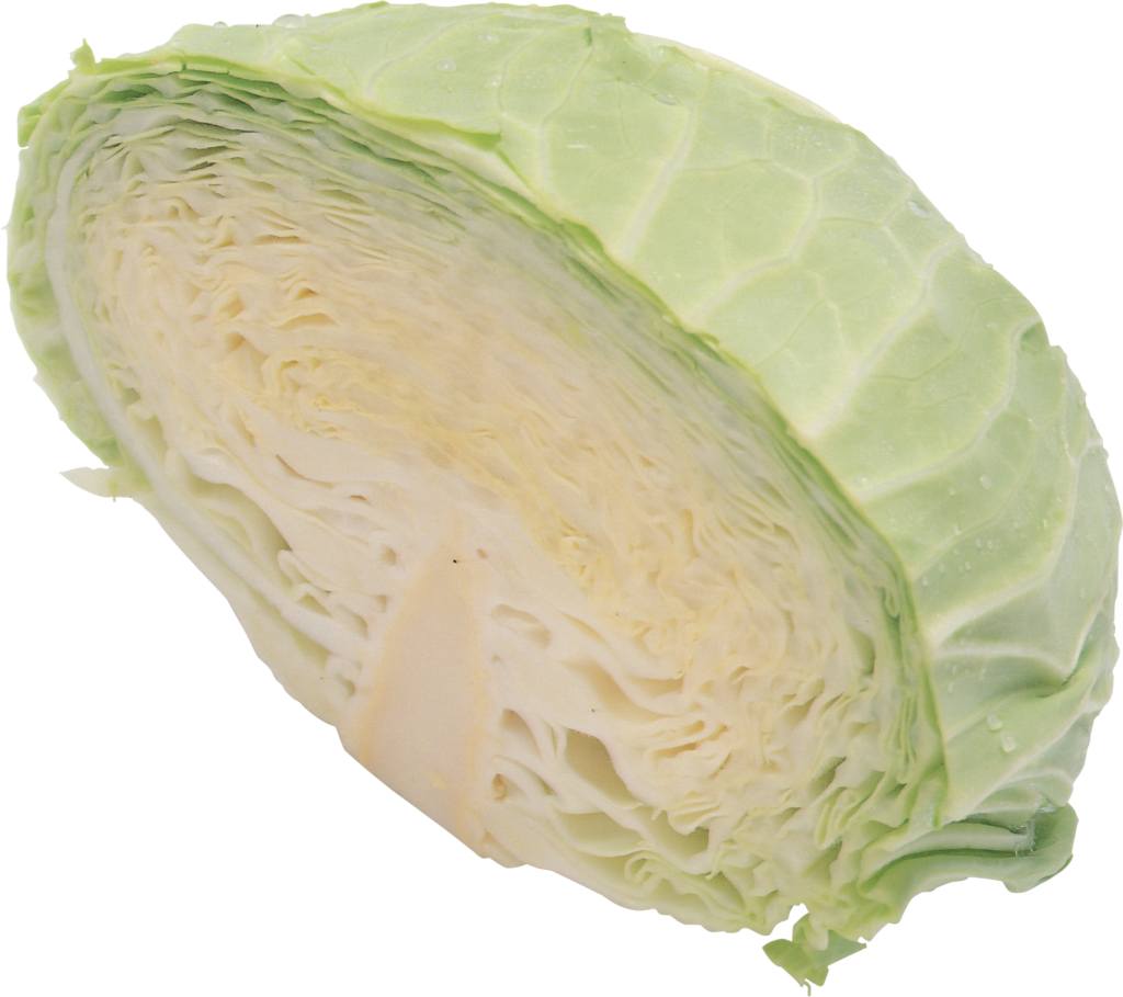 Sliced Cabbage Png