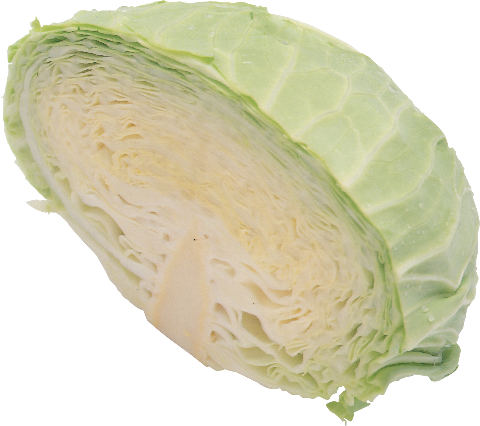 Cabbage-8