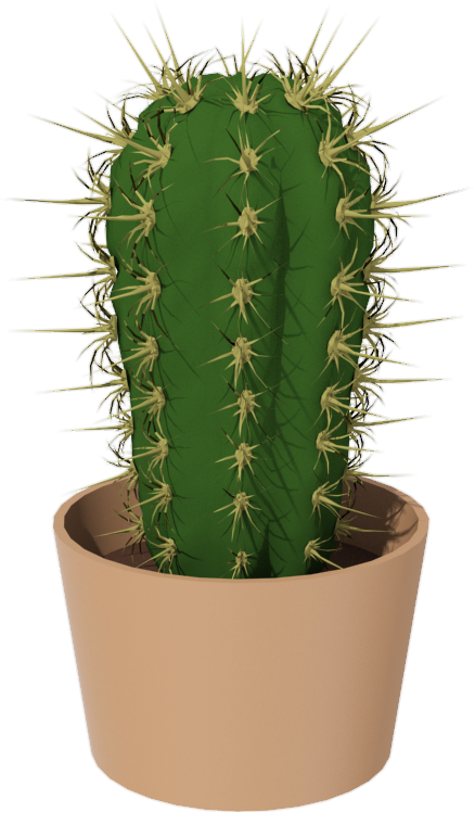 Cactus-1