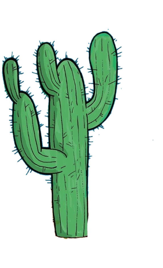 Cactus-12