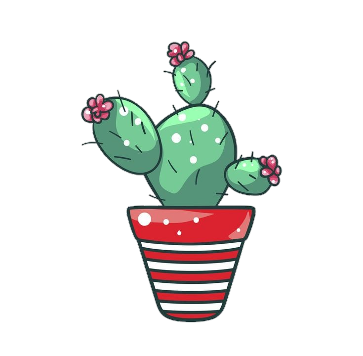 Cactus-16