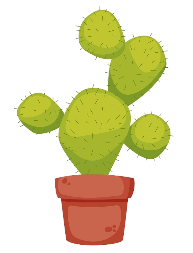 Cactus-26