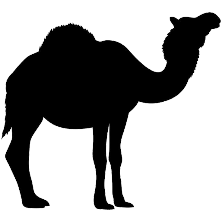 Camel Silhouette Png