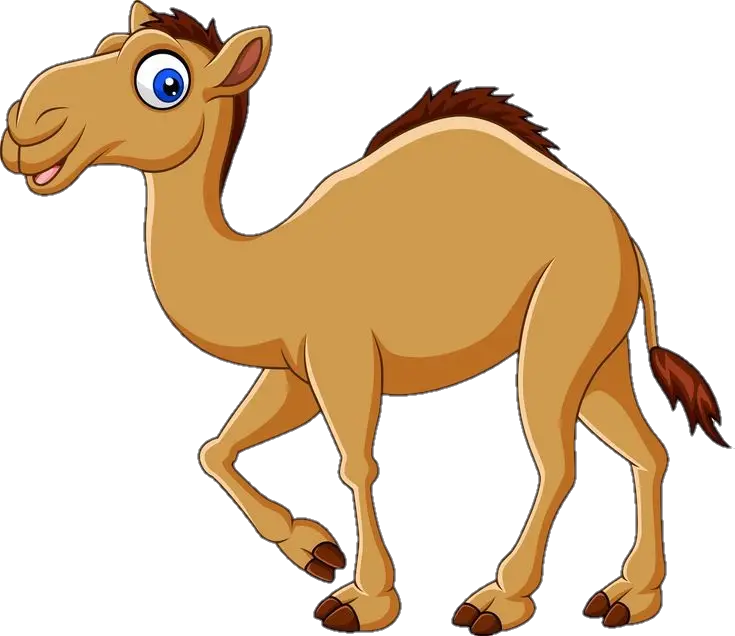 Camel vector Png