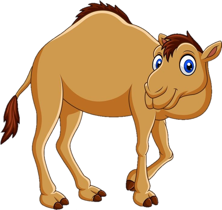 Cartoon Camel Png