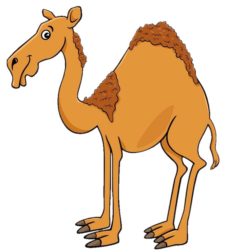 Desert Camel Vector Png