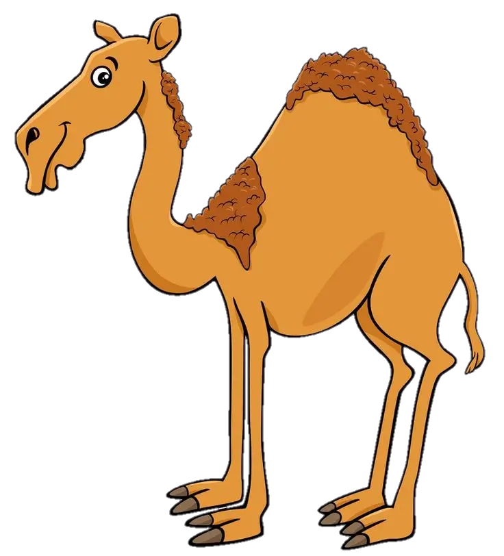 Desert Camel Vector Png