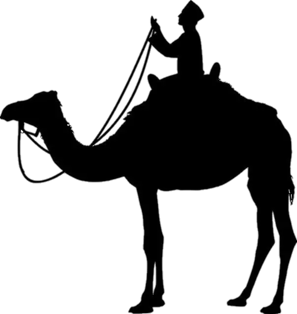 Camel Silhouette Png