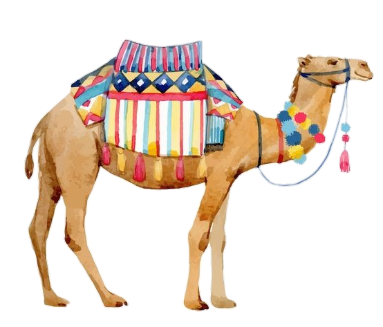 Camel-21
