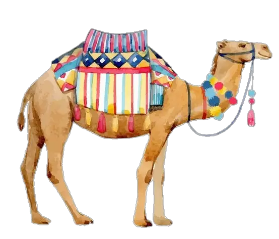 Camel Drawing Png