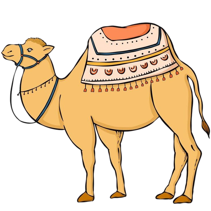 Camel-25