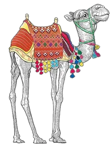 Camel Vector Png