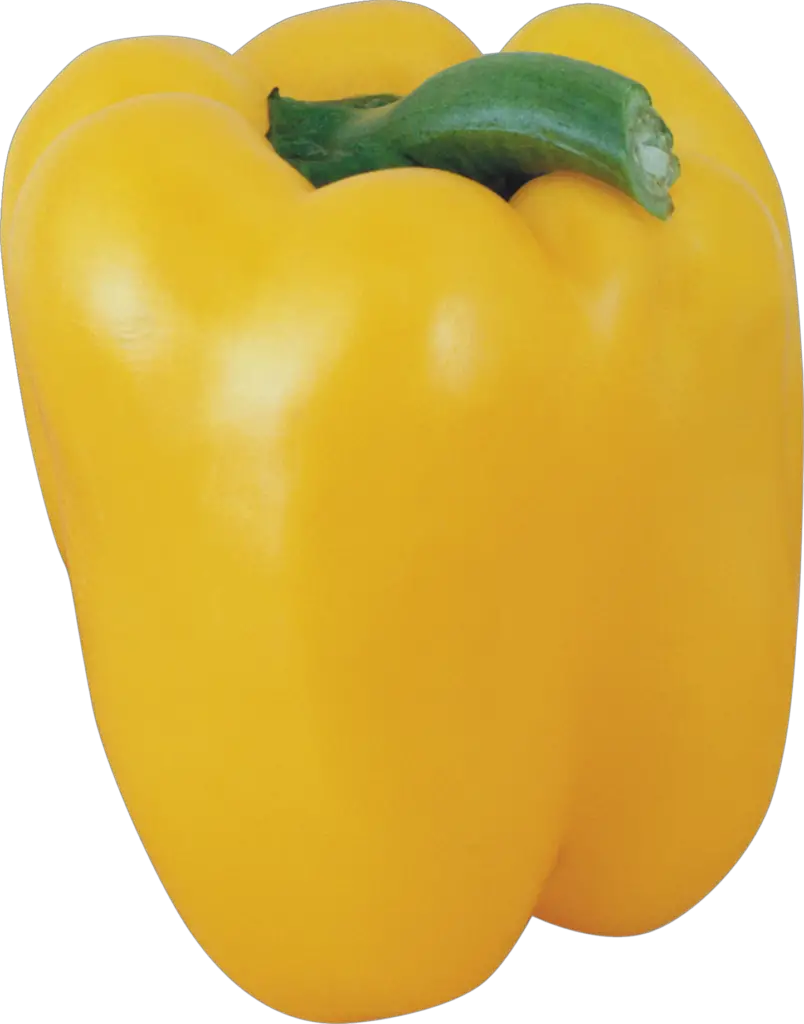 Yellow Capsicum png