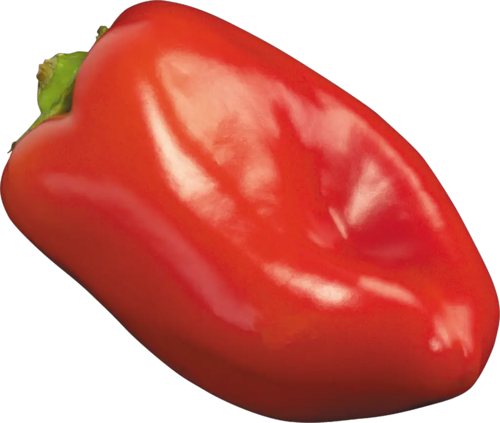 Bell pepper Capsicum png