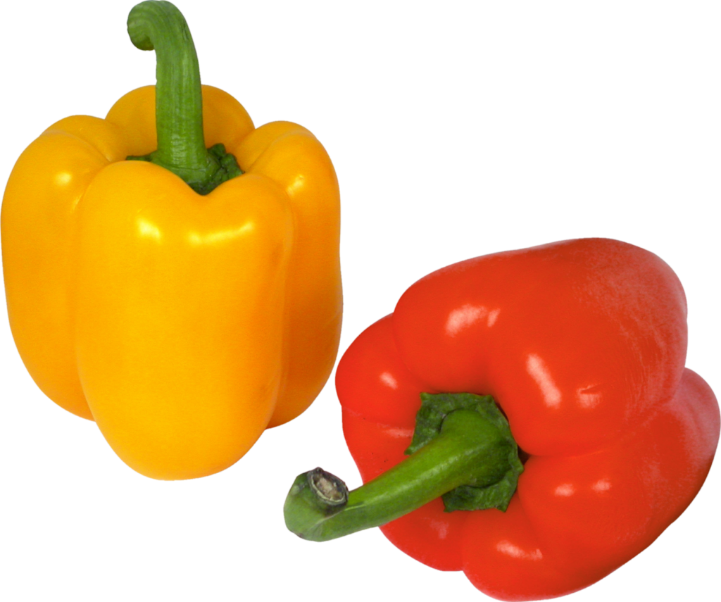 Yellow Red Capsicum png