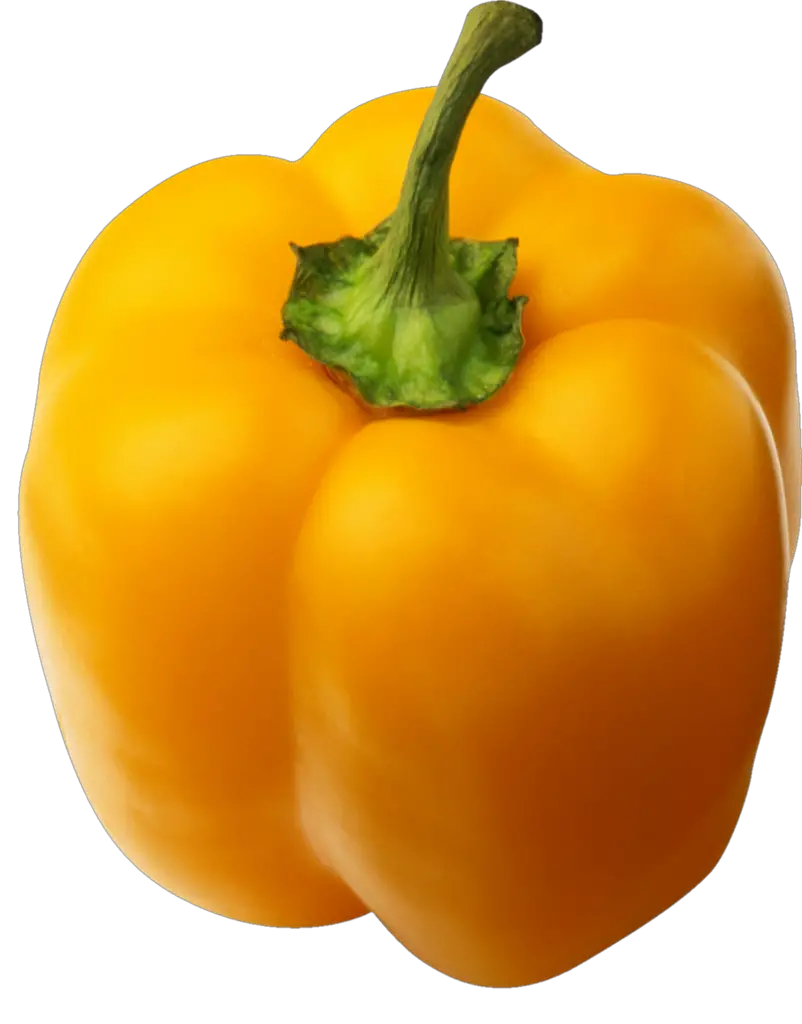 Yellow Capsicum png