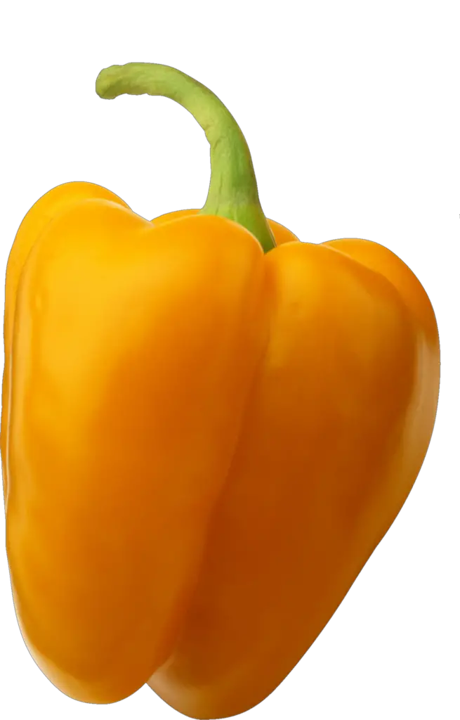 Yellow Capsicum png