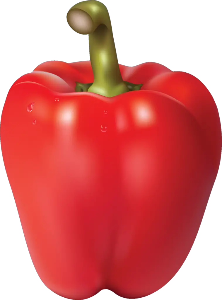 Red Capsicum Illustration png