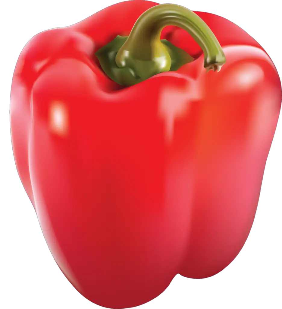 Red Capsicum Illustration png