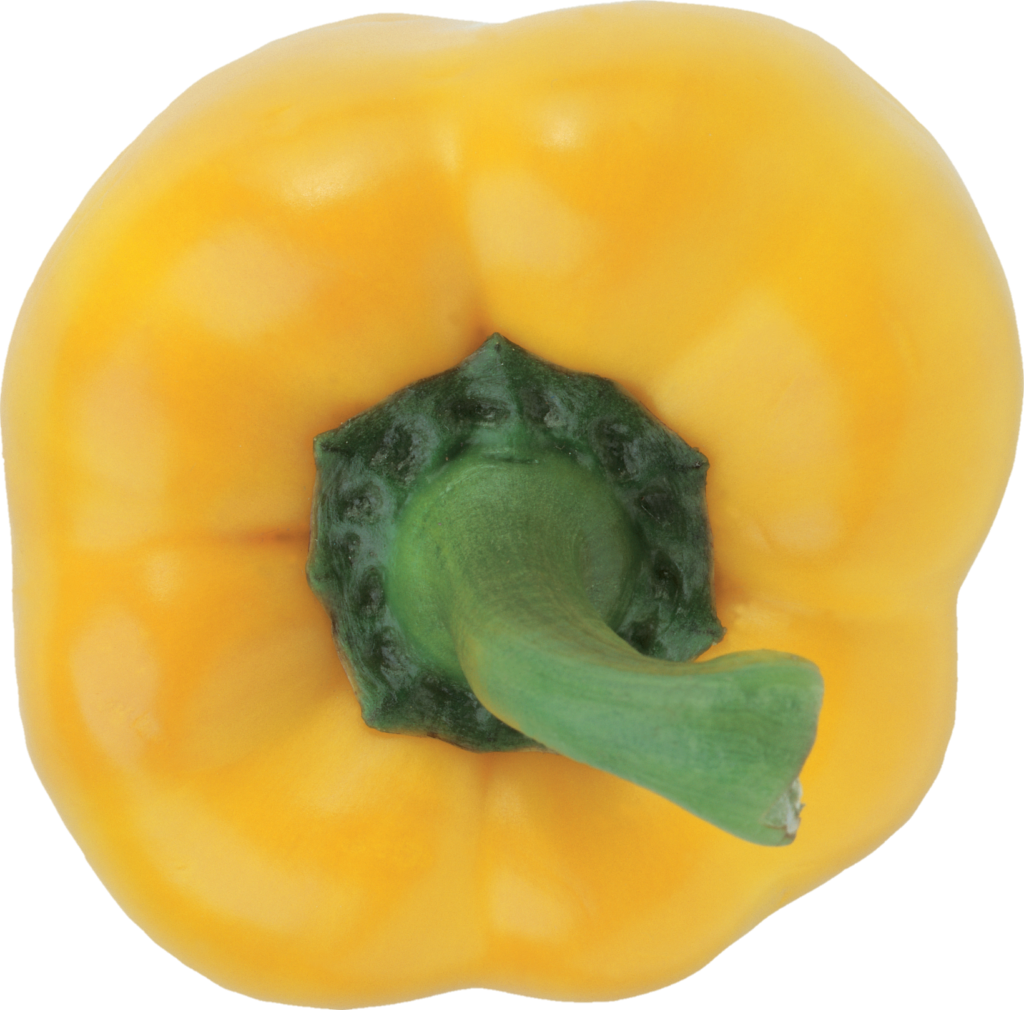 Yellow Capsicum png