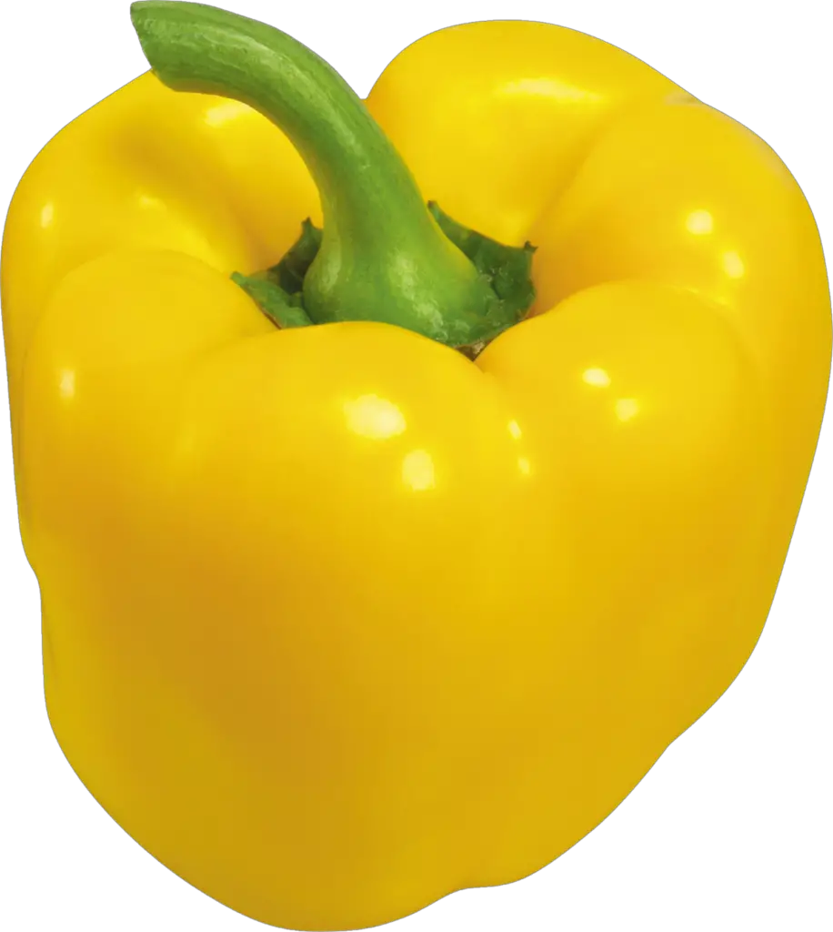 Yellow Capsicum png