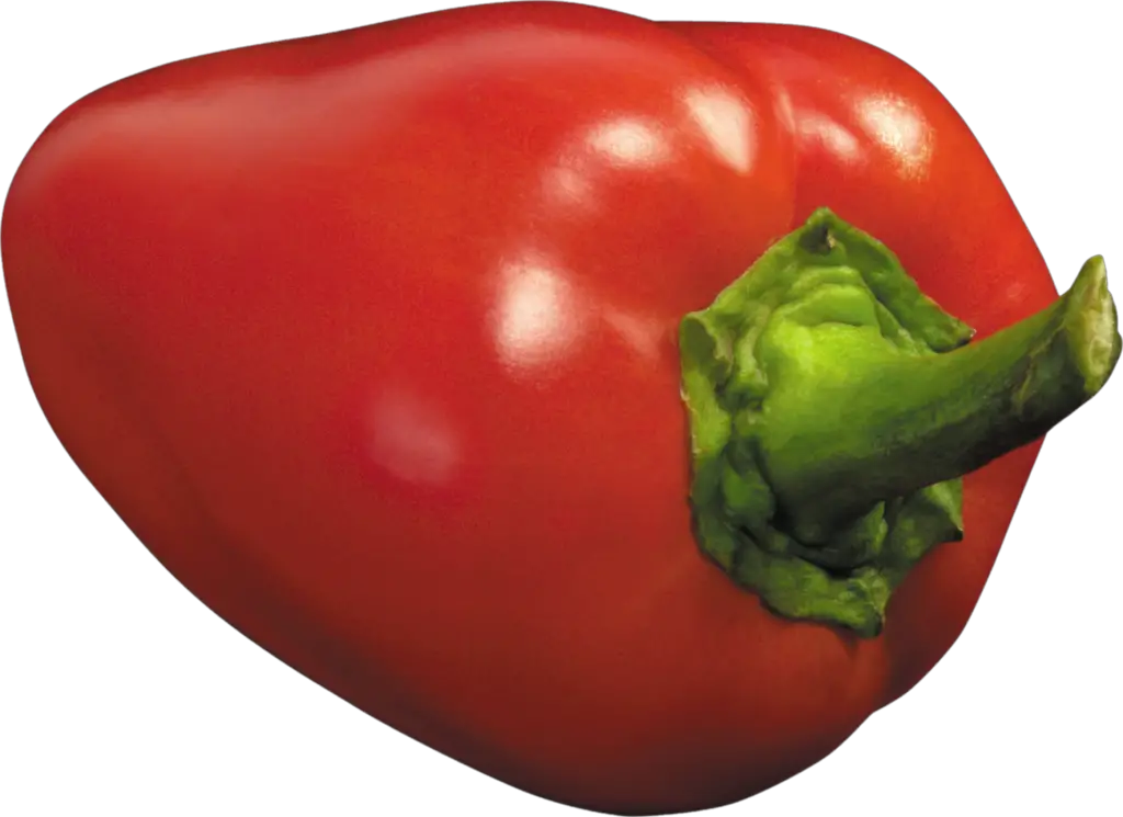 Bell pepper Capsicum png