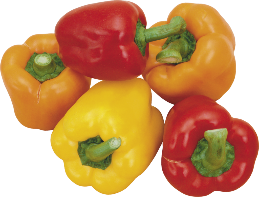 Yellow Red Capsicum Vegetable png