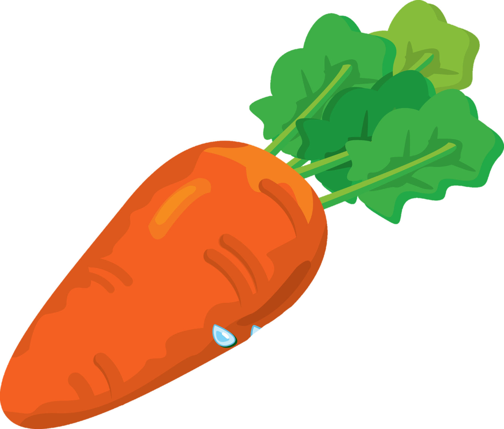 Carrot-1