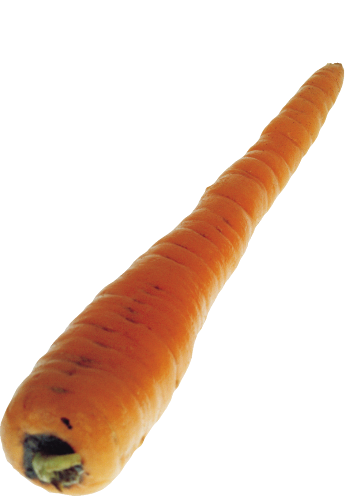 Carrot-14