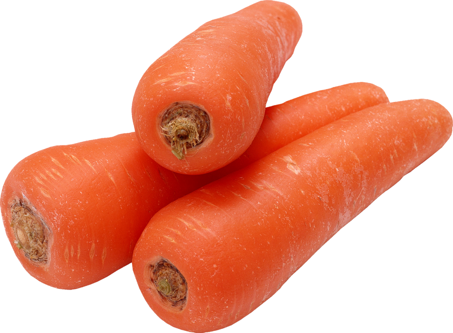 Carrot-15