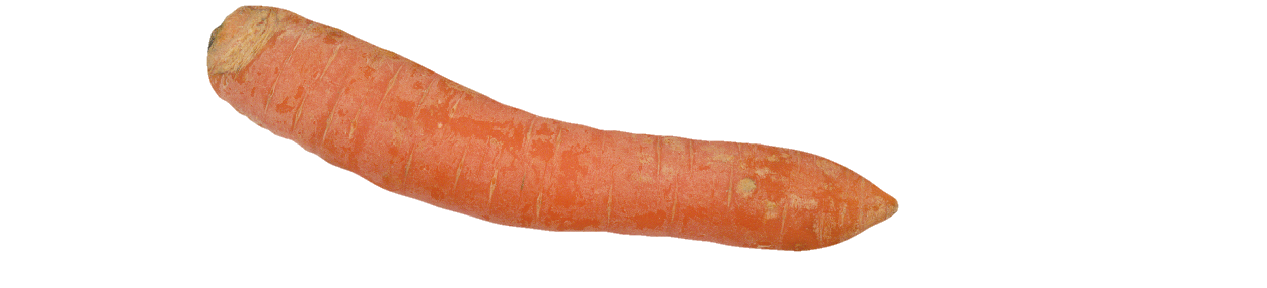 Carrot-17