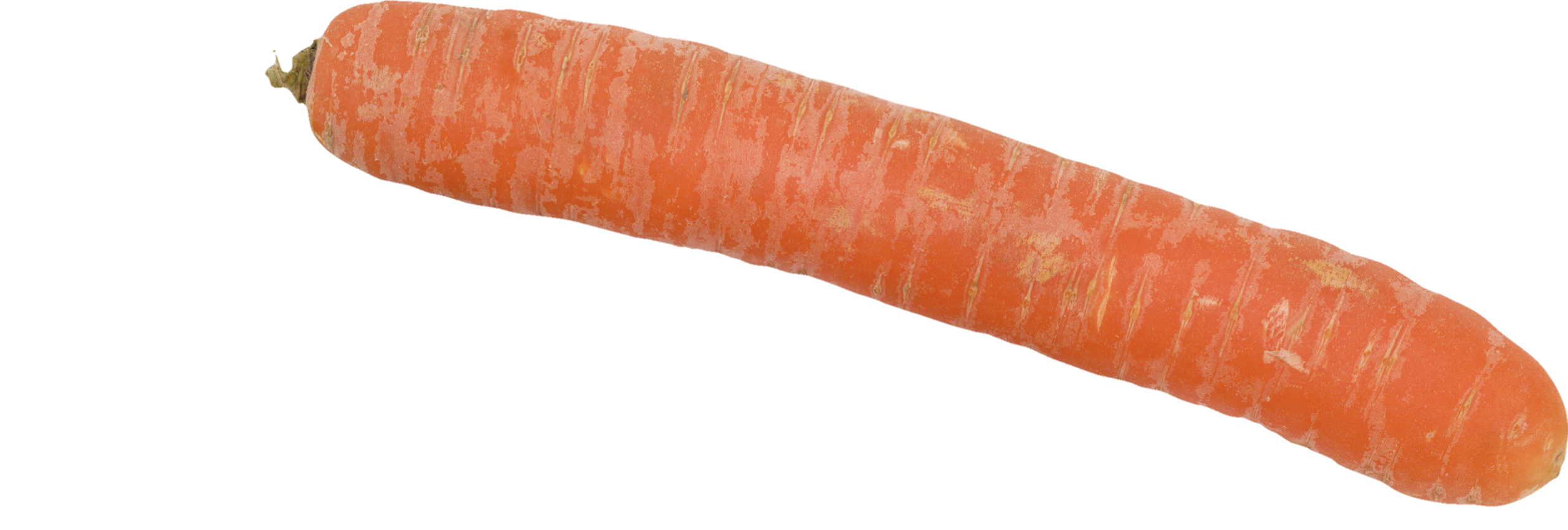 Carrot-18