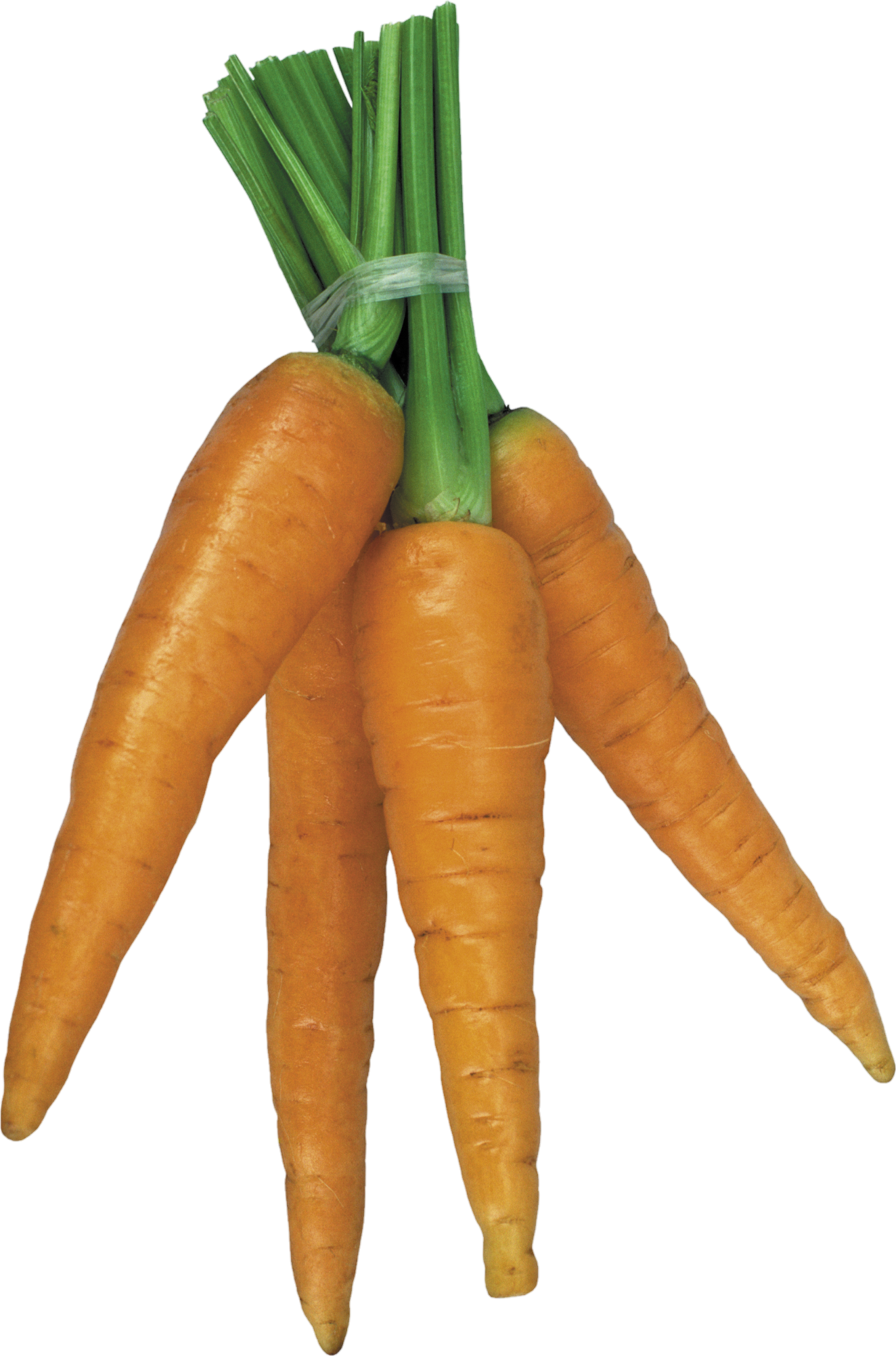Carrot-2