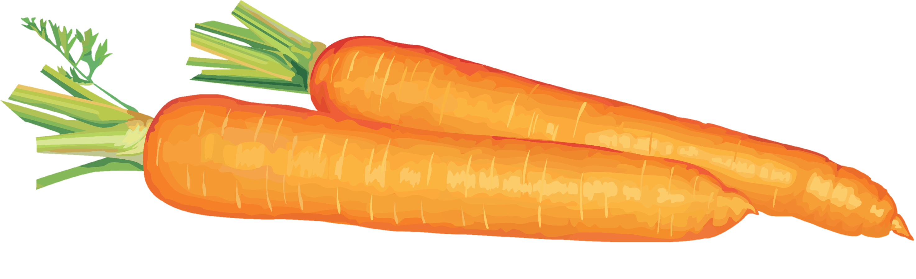 Carrot-21