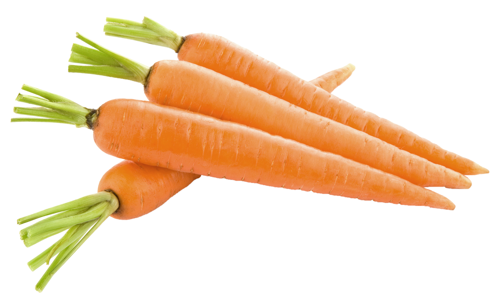 Carrot-22