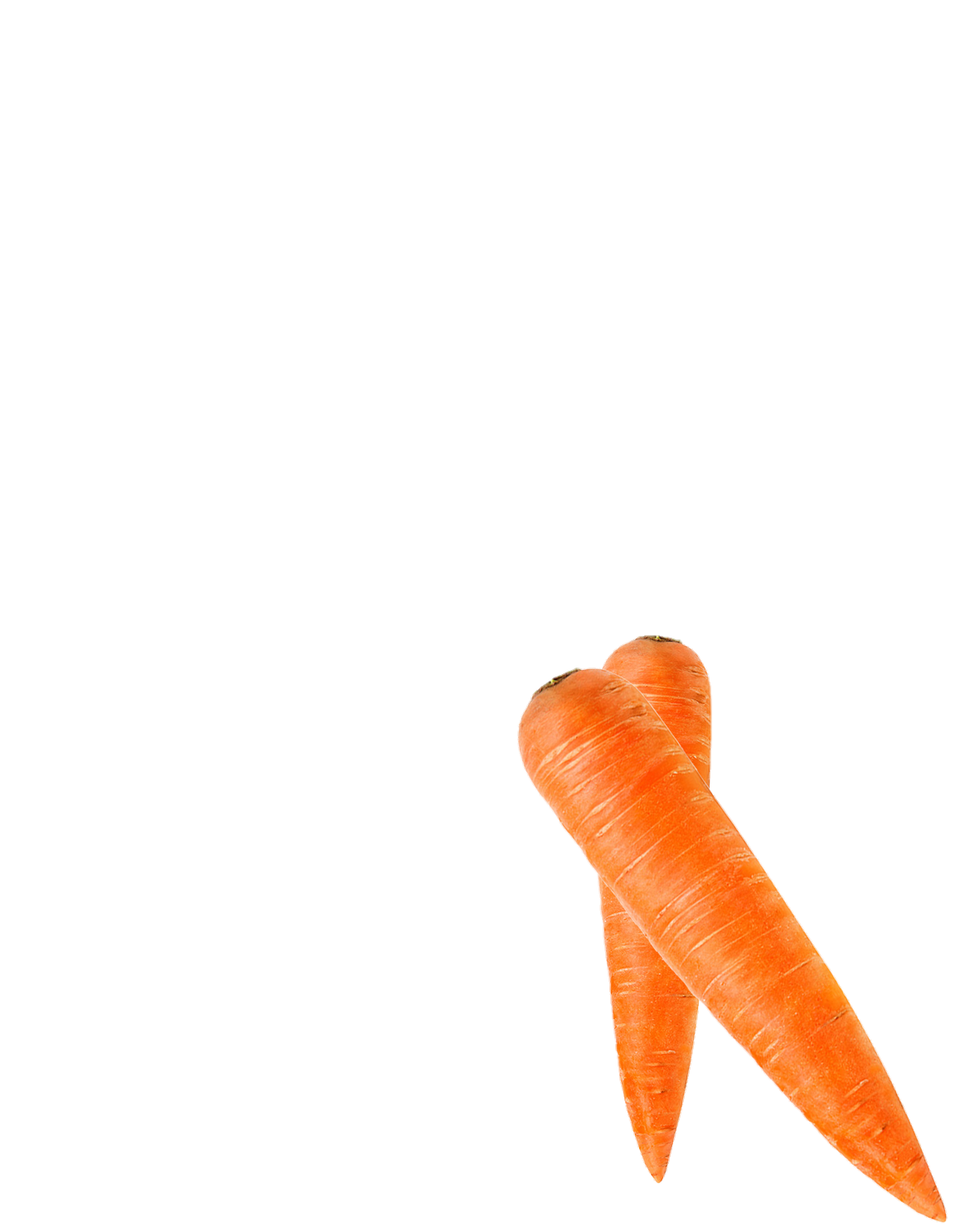 Carrot-23-1