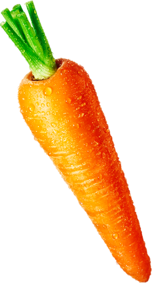 Carrot-24