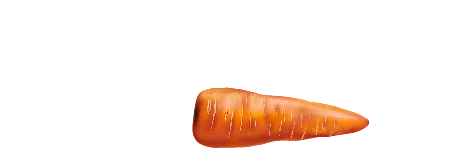 Carrot-25