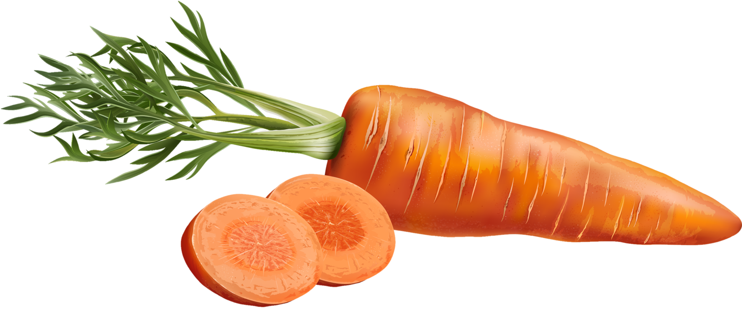 Carrot-26