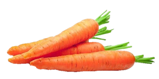 Carrot-3